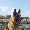 kettycascella4