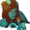 holly_hellebore