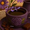 maryamali3432