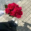 br.incess._16