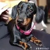 blossomthediva
