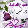user6197112190456