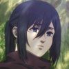 mikasa___800
