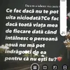 wkeftsmder