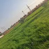 user391691702