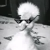 _.danijel_09_