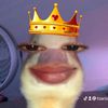 who_sniaa