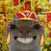 xuncuong_211