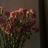 fadila4___