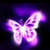 jacob_lawton99