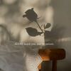n.khalisa_