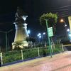 anamile_329