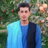 saifullah.noori45