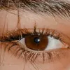 ra__hafll