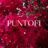 puntofi_official