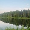 gdgshakoqu
