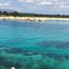 diana.pasalic