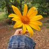 healingwith_ara