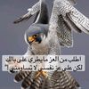 user6183339522195