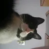 befrancy5