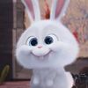__kimbuny