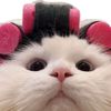 indhcomel