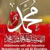 asiqahmed72