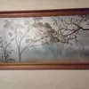 kutavaural1