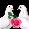 mremmrem312