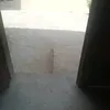 iqblsh