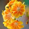 user6500911066060kavi