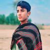 meerdashti06