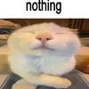 anglerovv