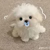 ebegiapcuti
