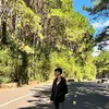 hoangphihung88