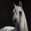 sultan_14_3