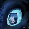 kot_52_6