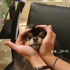 .z...jm