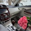 dovran__6