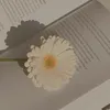 1hiij_4