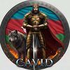 talibovcavid2