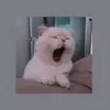 _2_vlogg_2_