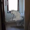 lordik_bio