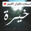 kknn88kknn