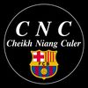 cheikhcnc00