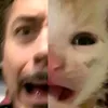abeiaaveia