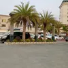 user2041659702336