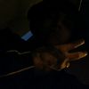 pier_feal