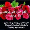 slf.333