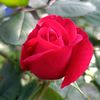 user7923602303034